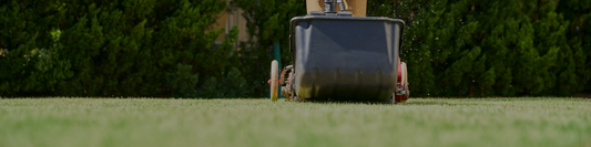 How to Aerate Your Lawn: Manual vs Powered Aerators
