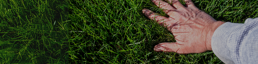Product Safety at LAWNZ