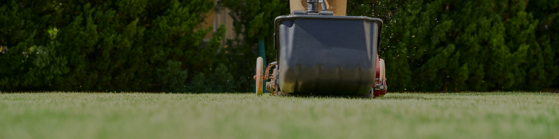How to Aerate Your Lawn: Manual vs Powered Aerators