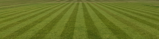 Which LAWNZ Grass Seed is right for you?