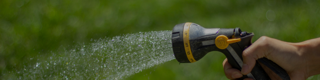 How to Water Your Lawn Properly