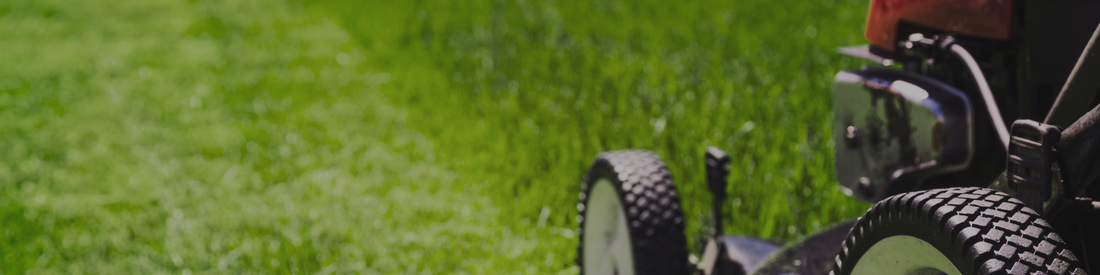 Mowing Without Damaging Your Lawn: Why Less Can Be More