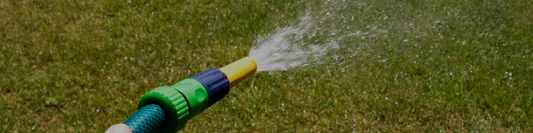 Spring Lawn Watering Guide for New Zealand