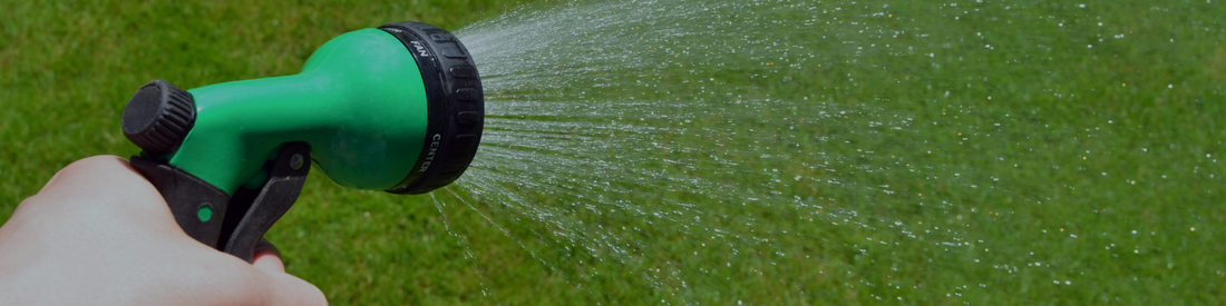 Winter Watering Guide