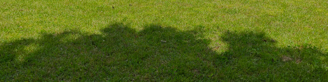 May Lawn Care Guide