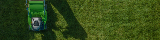February Lawn Care Guide