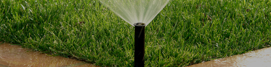 Autumn Watering Guide: How to Adjust as Temperatures Drop