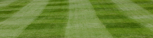 March Lawn Care Guide